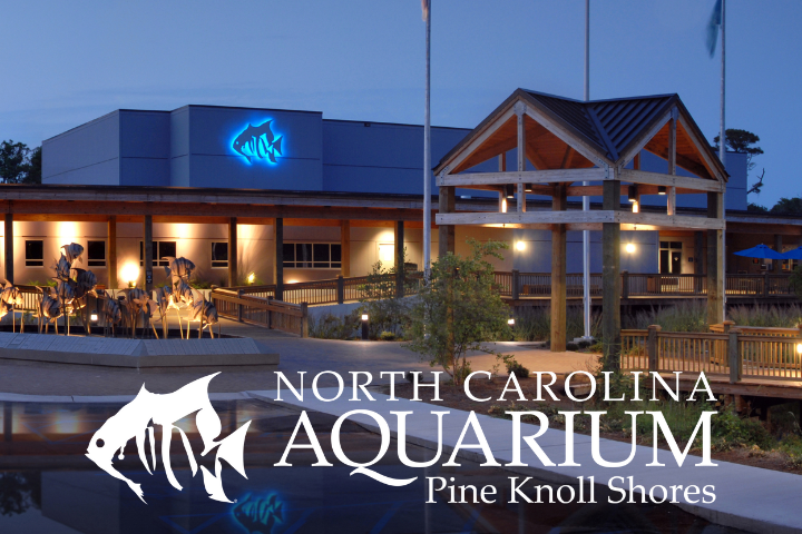 Things To Do NC Aquarium at Pine Knoll Shores